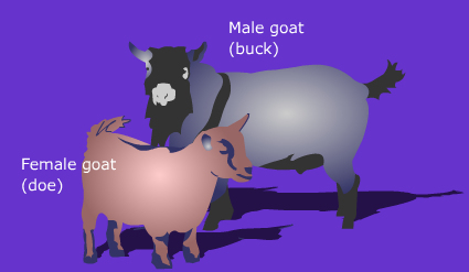 Reproduction