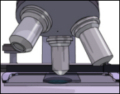 Microscope lenses