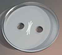 AGID test result